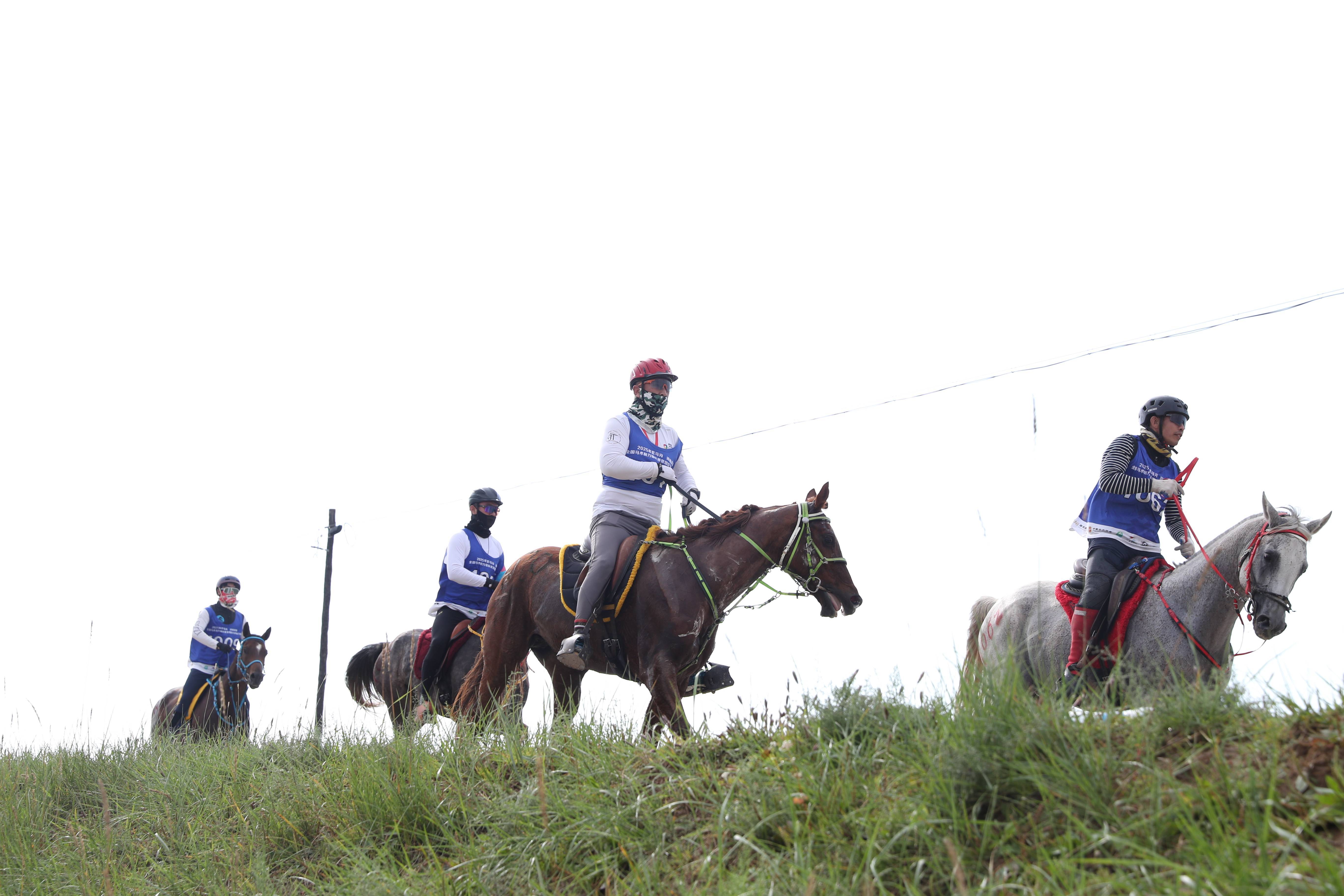 的内蒙古草, jpeg